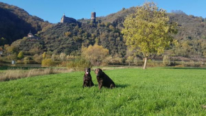 Ferienhaus Leopold mit Mosel- und Burgblick